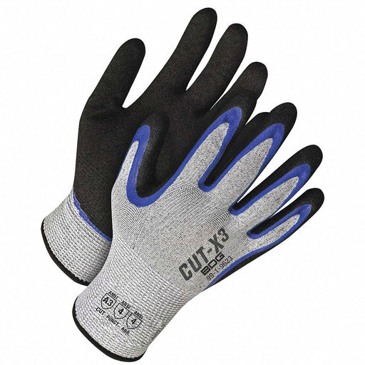 PR Coated Gloves XL/10