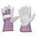 VR Leather Gloves Gray 2XL 2MDA9 PR