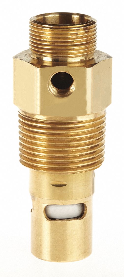 Check Valve 60 CFM 1 (M)NPT