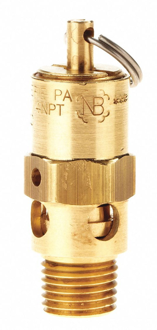 Safety Valve 1/4 (M) NPT Inlet