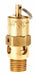 Safety Valve 1/4 (M) NPT Inlet