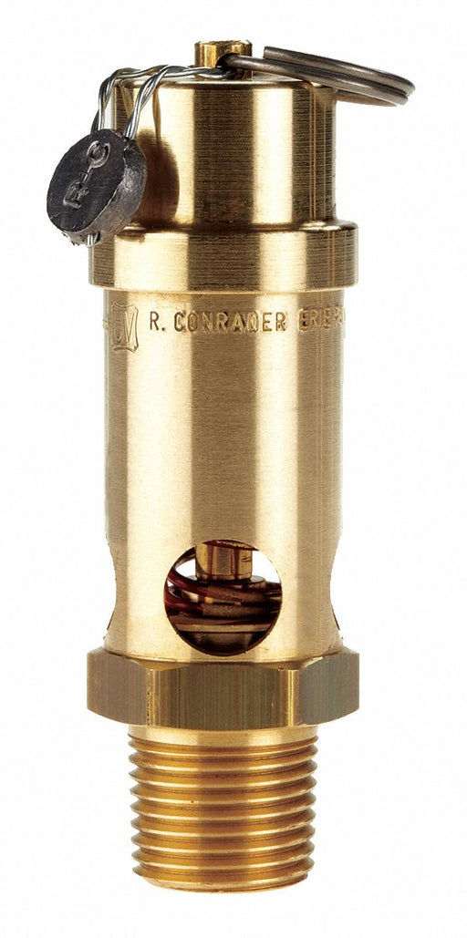 Safety Valve 1/2 (M) NPT Inlet