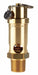 Safety Valve 1/2 (M) NPT Inlet