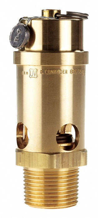 Safety Valve 1 (M) NPT Inlet