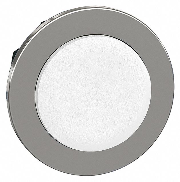 ExtendedPushButton White Non-Illum 30mm