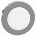 ExtendedPushButton White Non-Illum 30mm