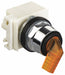 SelectorSwitch Illum 2Pos 30mm Yellow