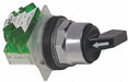 SelectorSwitch Non-Illum 2Pos 30mm Black