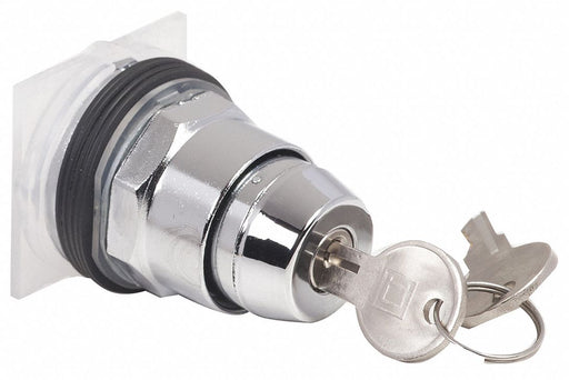 KeyedSelectorSwitch Black 2Pos 30mm