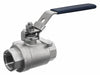 Manual 2-Way Ball Valve NPT 304 SS