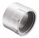 PVC Straight 6 in HUB 6 in NPT