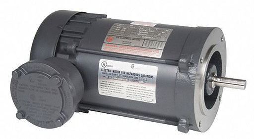 Hazardous Location Motor 110/220V
