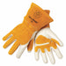 D6152 Gloves PR