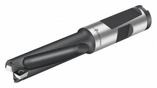 Star Dill