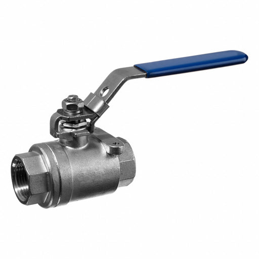 Manual 2-Way Ball Valve NPT 304 SS