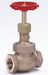 Globe Valve 3/4 Bronze FNPT 600 psi
