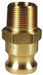 Cam and Groove BR Adapter x MNPT 1 
