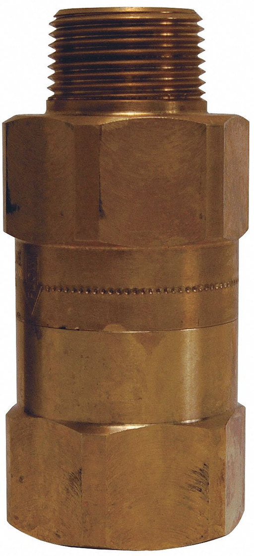 Safety Check Valve 3/4 180-200 SCFM