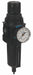 WilkersonStd FilterReg Manual Metal 1/2 