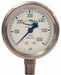 Liquid Fill SS Gauge Lower Mnt 0-300psi