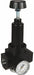 Wilkerson High Flow Regulator Gauge 1 