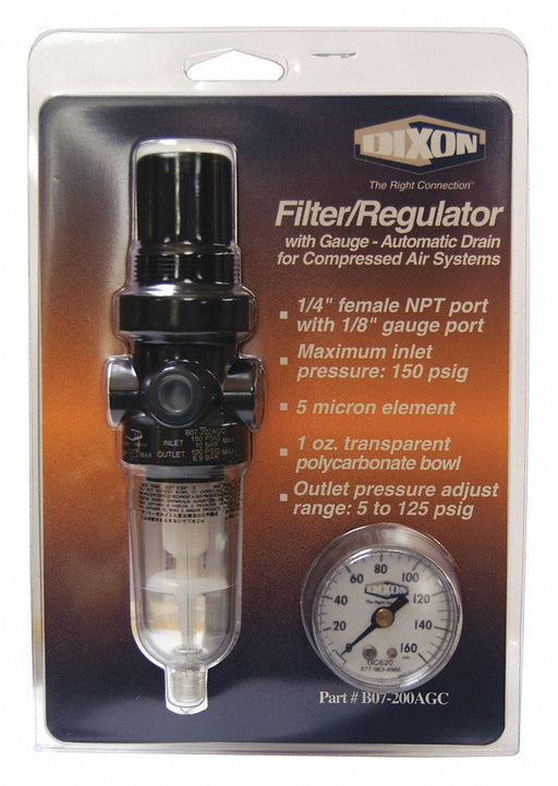 Series1-Carded Mini Filter/Reg Auto 1/4 