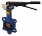 Wafer 150lb. Butterfly Valve SS Disc 3 