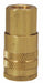 AirChief Fem NPT 1/4 Coupler 1/4 BR