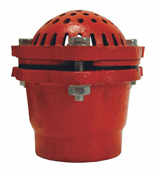 Cast Iron Threaded Foot Valve 3 