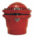 Cast Iron Threaded Foot Valve 6 