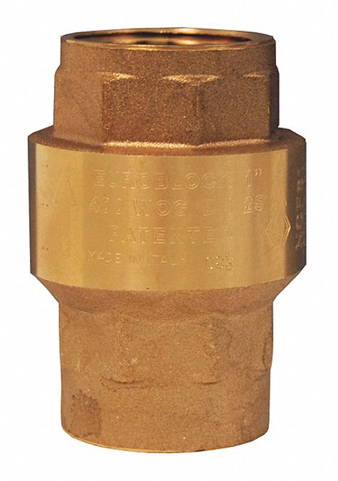 Spring Loaded Check Valve 1/2 