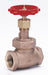 Globe Valve 1/2 Bronze FNPT 300 psi