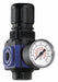 Pneumatic Regulator w/Gauge