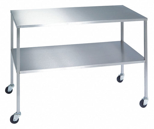 Fixed Height Work Table SS 24 D x 48 W