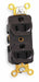 Recept Brown 15 A 2P3W Back Side 1PK