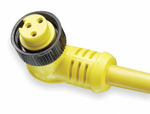 Cordset 3 Pin Receptacle Female