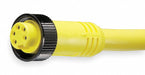 Cordset 5 Pin Receptacle Female