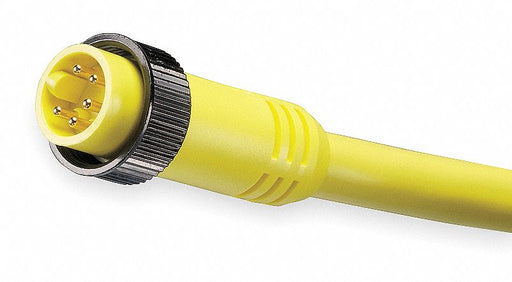 Cordset 5 Pin Plug Male