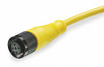 Cordset 3 Pin Receptacle Female