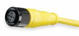 Cordset 4 Pin Receptacle Female
