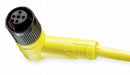 Cordset 4 Pin Receptacle Female