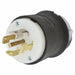 LckPlg Strt 30 A Blk White Nylon 5Blds