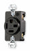 Recept Black 20 A 3P4W Back Side 1PK