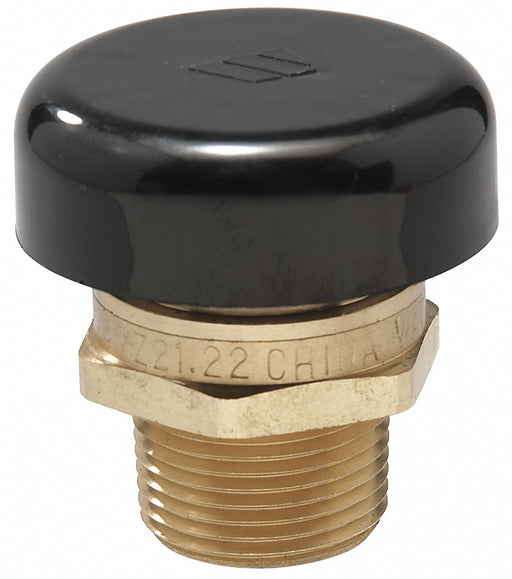 Vacuum Relief Valve 1/2 In Up to 200 psi