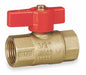 Manual 2-Way Ball Valve IPS Brass