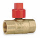 Manual 2-Way Ball Valve IPS Brass