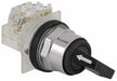 SelectorSwitch Non-Illum 2Pos 30mm Black