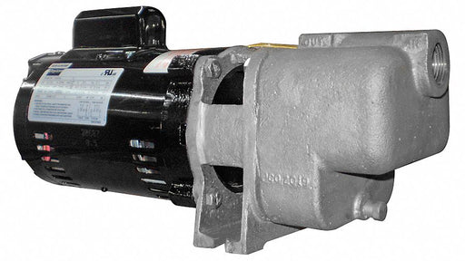 Self Priming Pump 1/3 HP 316 SS