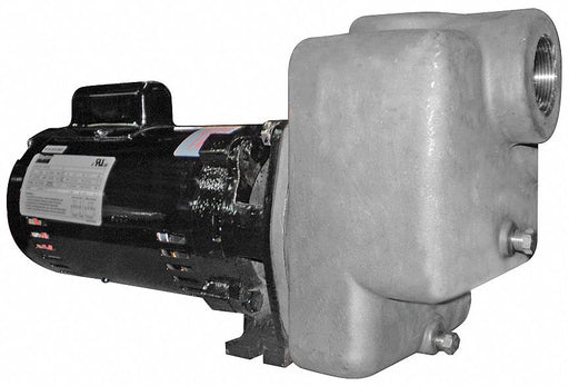Self Priming Pump 1 HP 316 SS