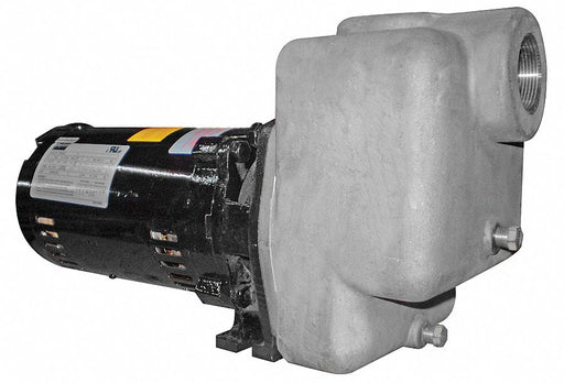 Self Priming Pump 1 HP 316 SS